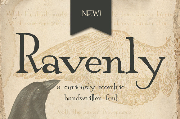 Ravenly Hand Written Font in Serif Fonts - product preview 2