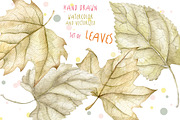 4 Watercolor leaves, hand drawn