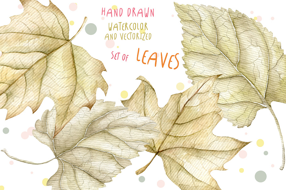 4 Watercolor leaves, hand drawn in Illustrations - product preview 8