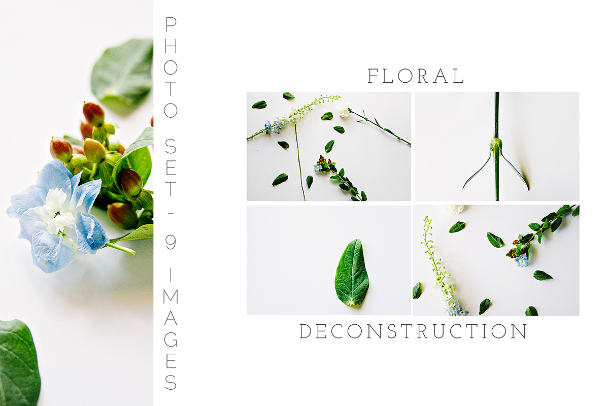 Floral Deconstruction Photo Set in Add-Ons - product preview 8