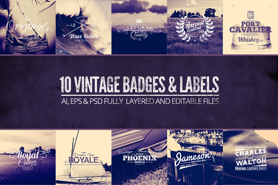 Vintage Labels & Badges Vol.1 in Logo Templates - product preview 8