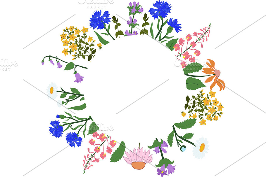 Vector card with herbs in a circle in Illustrations - product preview 8
