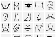 Male body parts icons set