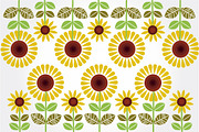 Sunflowers illustrations