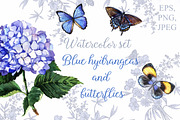 Blue hydrangeas and butterflies