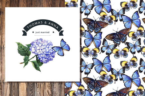 Blue hydrangeas and butterflies in Illustrations - product preview 3