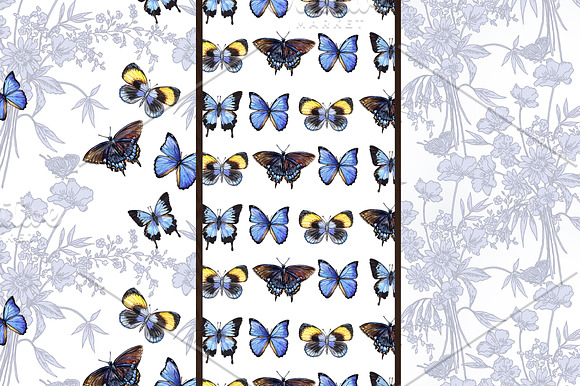 Blue hydrangeas and butterflies in Illustrations - product preview 5
