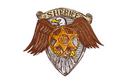 Sheriff Badge American Eagle Shield