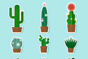 Cactus Vector Icons & Cactus Pattern