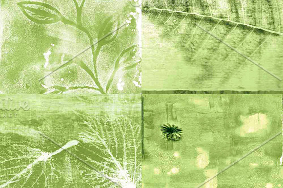 Botanical Painted Papers in Patterns - product preview 1