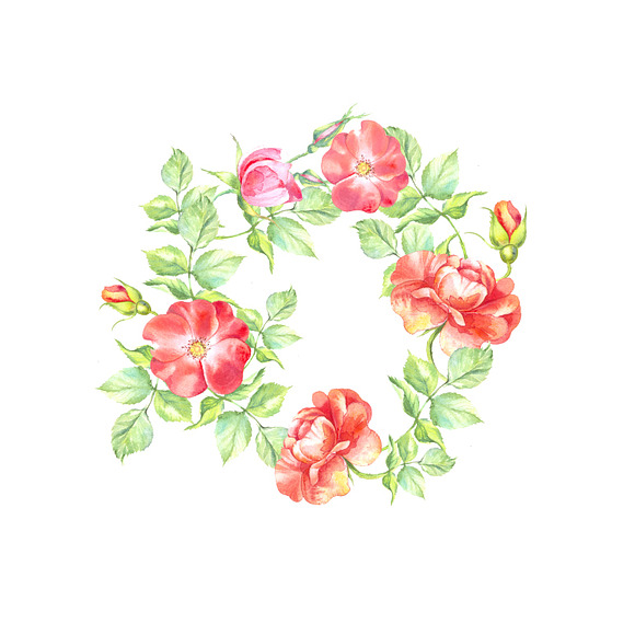 Watercolor pink flowers set in Illustrations - product preview 1