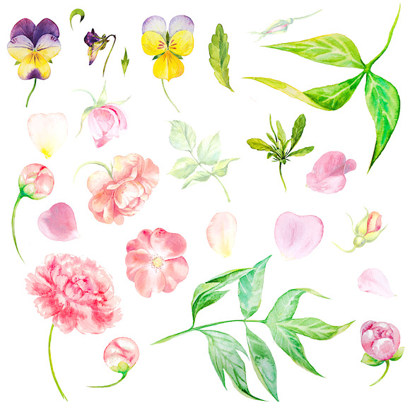 Watercolor pink flowers set in Illustrations - product preview 3
