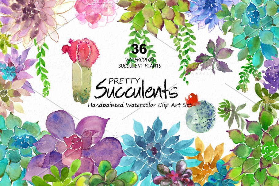 Pretty Succulents- Watercolor