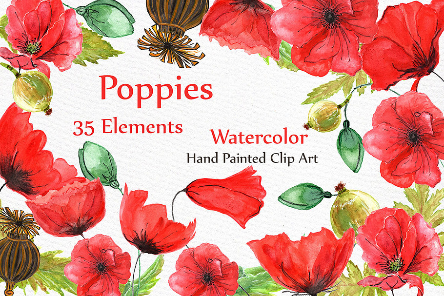 Watercolor flowers- Poppies clipart