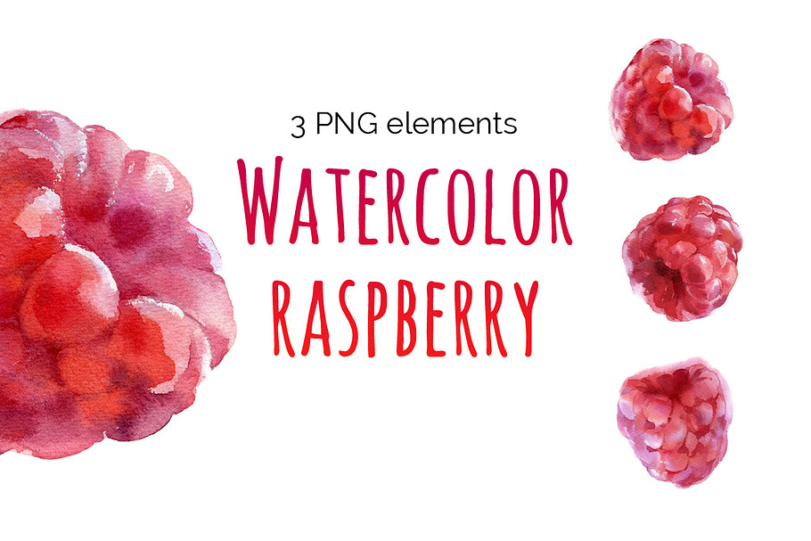 Watercolor raspberry in Illustrations - product preview 8