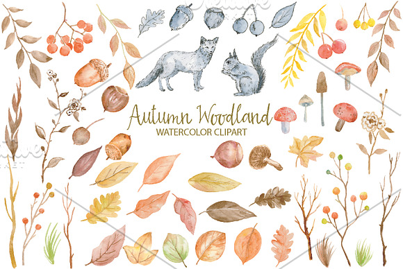 Watercolor Clipart Autumn Woodland in Illustrations - product preview 1