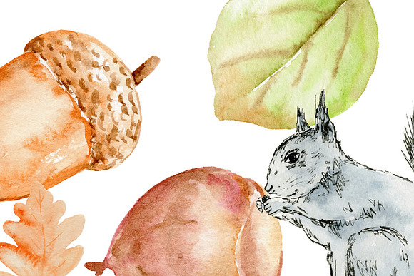 Watercolor Clipart Autumn Woodland in Illustrations - product preview 2