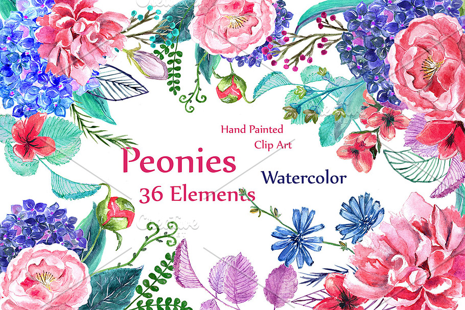 Watercolor peonies flowers clipart in Illustrations - product preview 8