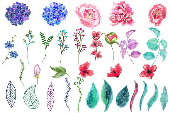 Watercolor peonies flowers clipart in Illustrations - product preview 1