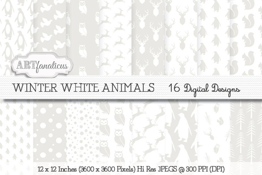 Winter White Animals Backgrounds