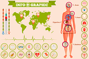 Medical anatomy women - infographics