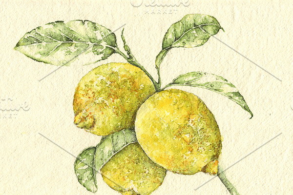 Lemon watercolor print