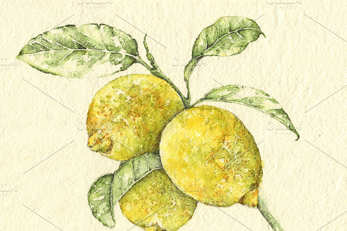 Lemon watercolor print in Illustrations - product preview 8
