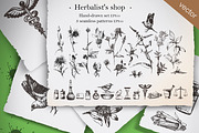 Herbalist's shop