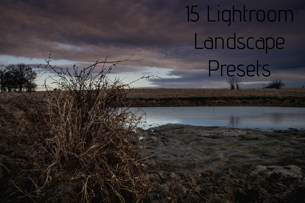 15 Landscape Presets in Add-Ons - product preview 8