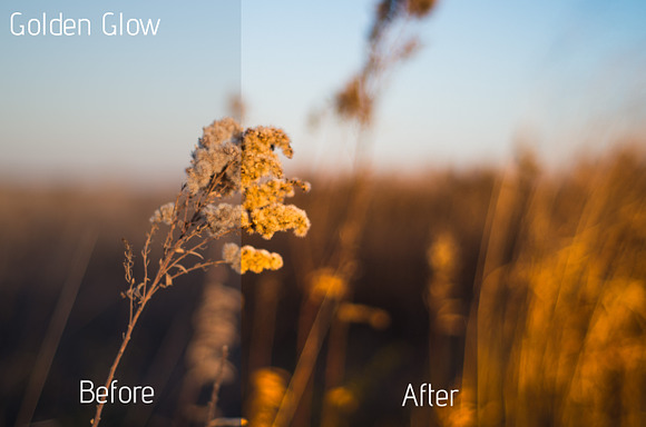 15 Landscape Presets in Add-Ons - product preview 2