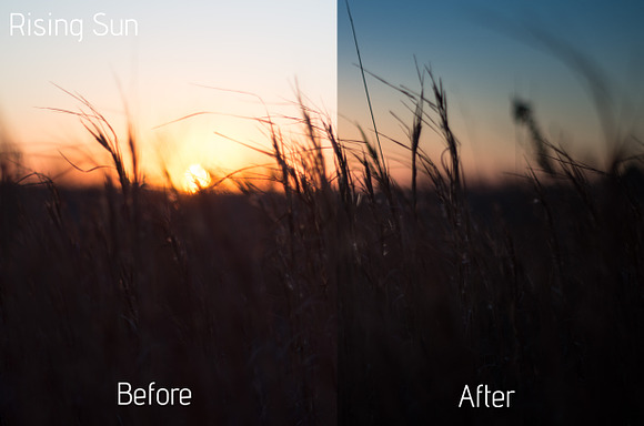 15 Landscape Presets in Add-Ons - product preview 3