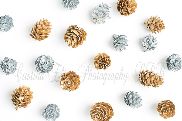 Silver & Gold Pinecone Background