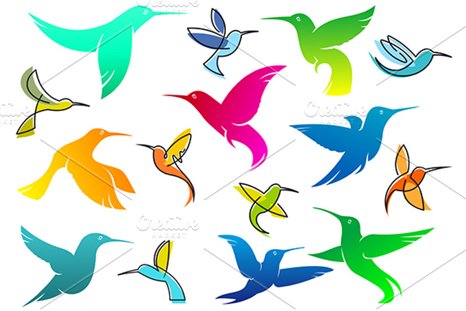 Colorful hummingbird birds in Graphics - product preview 8