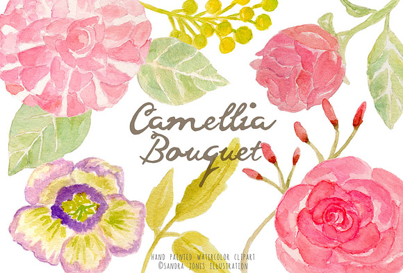 Watercolor Camellia Flowers in Illustrations - product preview 3