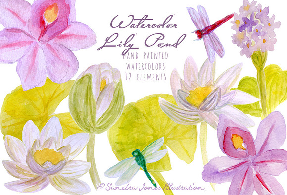 Watercolor Lily Pond Flowers in Illustrations - product preview 3