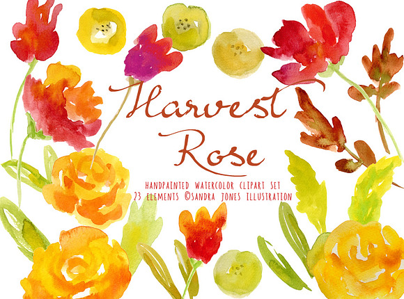 Watercolor Floral Elements - Rose in Illustrations - product preview 2