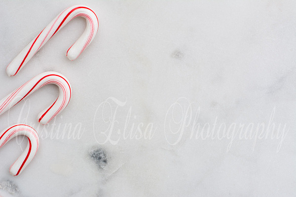 Styled Stock Photography Christmas