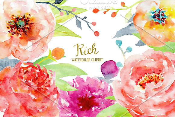 Watercolor Peony Clipart Rich in Illustrations - product preview 1
