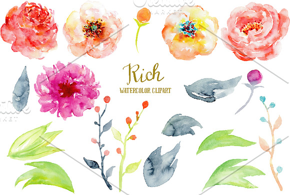 Watercolor Peony Clipart Rich in Illustrations - product preview 2