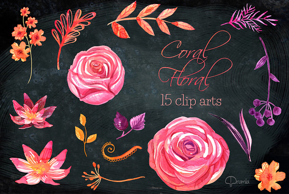 Coral Floral watercolor clip art set in Illustrations - product preview 1