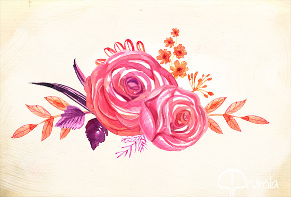 Coral Floral watercolor clip art set in Illustrations - product preview 3