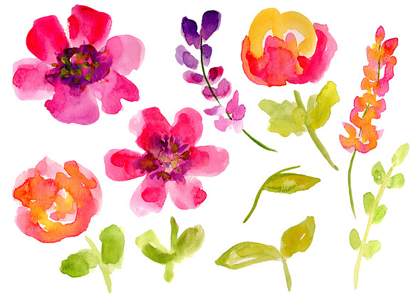 Modern Floral Watercolor Flowers in Illustrations - product preview 2