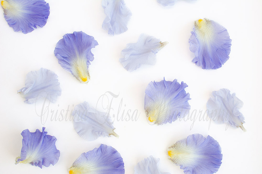 Flower Styled Stock Photography
