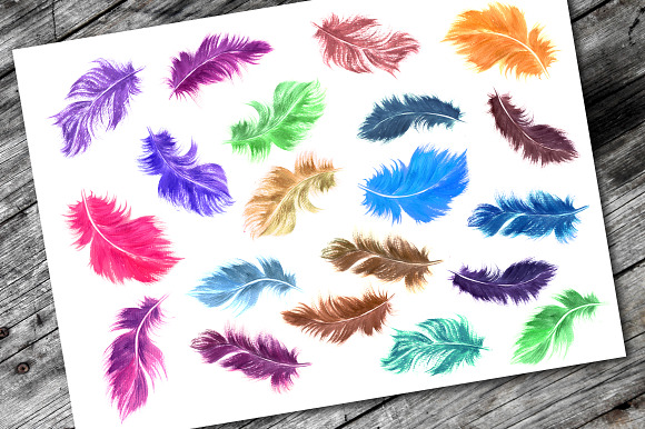 Watercolor feathers in Illustrations - product preview 1