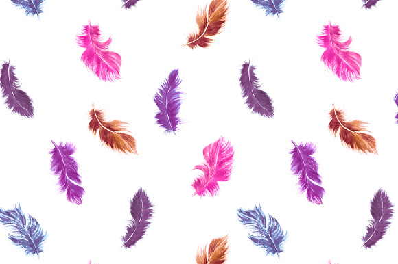 Watercolor feathers in Illustrations - product preview 3