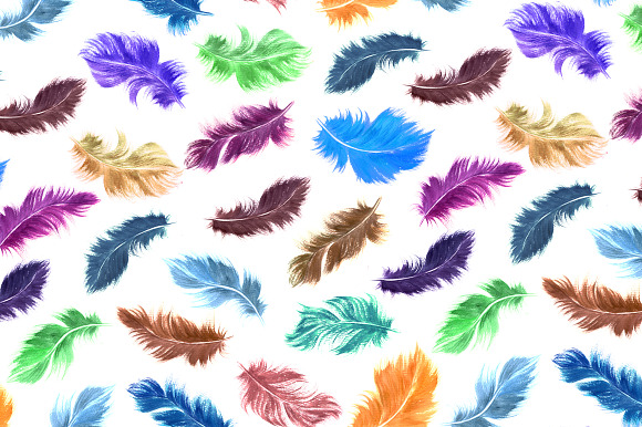 Watercolor feathers in Illustrations - product preview 4