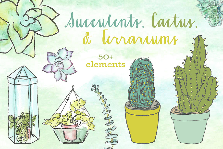 Watercolor Succulent Clipart in Illustrations - product preview 8