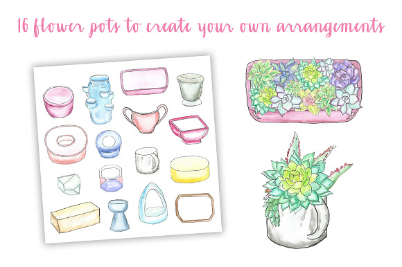 Watercolor Succulent Clipart in Illustrations - product preview 3