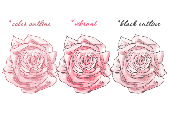 Watercolor Valentine Vector Flowers in Illustrations - product preview 3