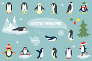 Cute penguin icons